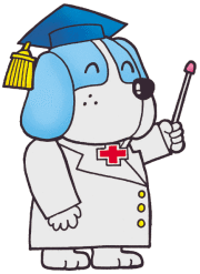 �إ륹�Х󥯡ʿ������ʡ�