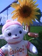 ��äȤ��Ǥ��������ץ����