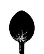 Spoon
