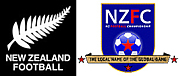 ニュージーランドNZFCサッカー
