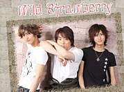 ɥޡWild Strawberry