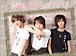 �ɥ�ޡ���Wild Strawberry��