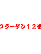 コラーゲン１２世