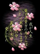 ͤΤݤ֤來