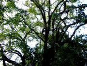 ʸ�������ʹѤΰ㤤��������