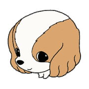 cute�����ꤤ