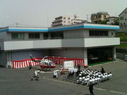 �������Ҷ�������