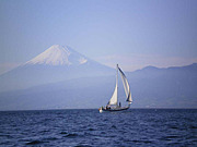 ��åȤ˾��������Ʀ�γ�������