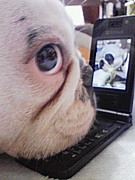 ����褯�����ۥ���֡�