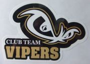 CLUB TEAM VIPERS