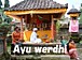 AyuWerdhi�ʥ��楦��ǥ���