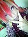 PRINCE-CASSIS-