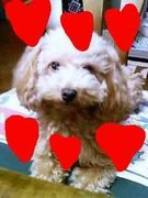 ♥�����夡��♥