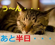 �Ż��Ϲ����������������ʤ�