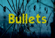 Bullets
