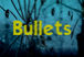 Bullets