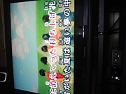 �ߤ�ʤǥ��饪���˹Ԥ�����