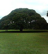 �������ұ����Ǹ�ʣ�������