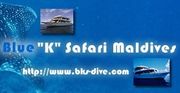 Blue "K" Safari Maldives