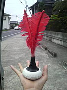 ��롡����ǥ�����