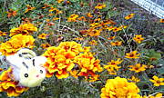 *FlowerBee*