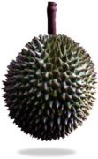 Τ