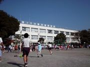 ����ë��Ω���͸;��ع�