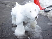 新潟医療福祉大学　PT学科1期生