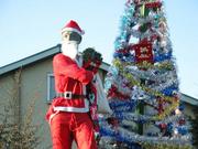 �����⹻������´