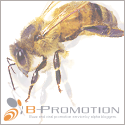 B-Promotion