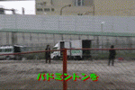 �Хɥߥ�ȥ��