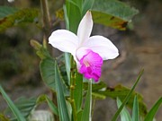 �椭������Ǥ��ͳ���ҡ�