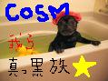 ��CoSmeTologY�ݿ��ù�²��