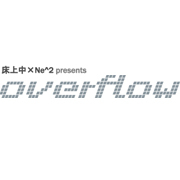 Ne^2 pr. Overflow