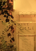 ★夜間食堂Cattail★（閉店）