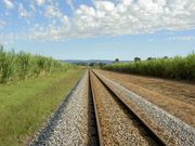 ��ݱѸ죲���������ء���