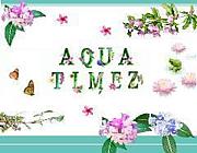 No Aqua Timez,No Life