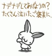 Rabbits♪　〜愛知のウサギ達〜
