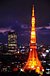 YOSHIDA ���ˡ�������������ή��