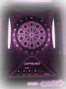 DARTS TEAM 　【紫】