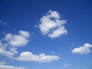 �ƥӥ��󤬹�����!!