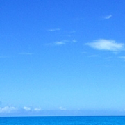 blue12