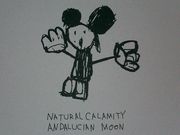Natural Calamity &...