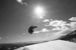 LikeMoreSnowboard