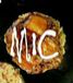 MIC[�ߥå�]