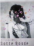 ���åȡ��ܥå���sottebosse��