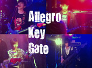 Allegro Key Gate (アレグロ)