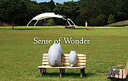 Sense of  Wonder