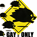 TEAM �ܤ����GAY ONLY)