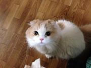 �����Υ��ꥹ�����